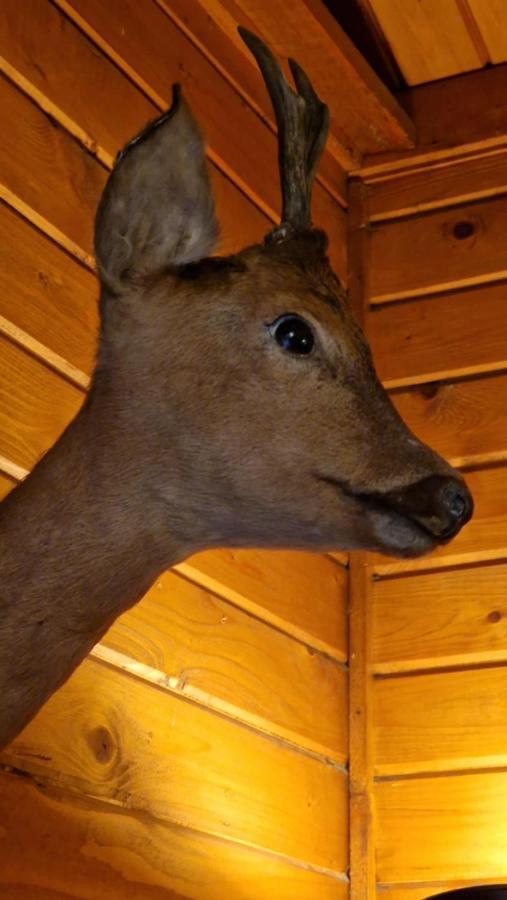 Coo